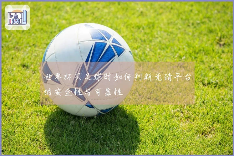 世界杯买足球时如何判断竞猜平台的安全性与可靠性