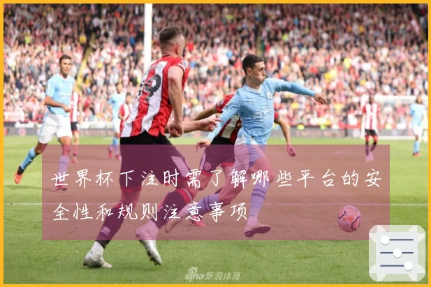 世界杯下注时需了解哪些平台的安全性和规则注意事项