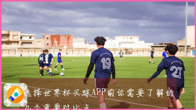 选择世界杯买球APP前你需要了解的几个重要对比点