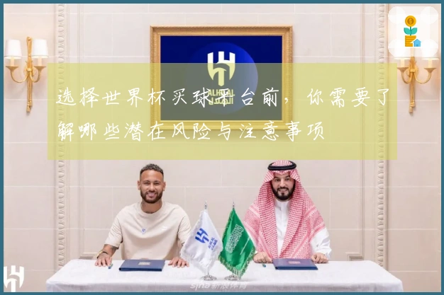 选择世界杯买球平台前，你需要了解哪些潜在风险与注意事项