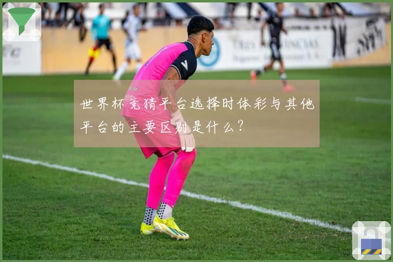 世界杯竞猜平台选择时体彩与其他平台的主要区别是什么？