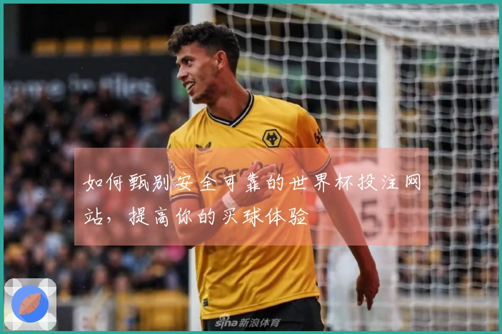 如何甄别安全可靠的世界杯投注网站，提高你的买球体验