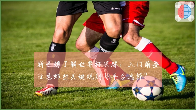 新手想了解世界杯买球，入门前要注意哪些关键规则与平台选择？