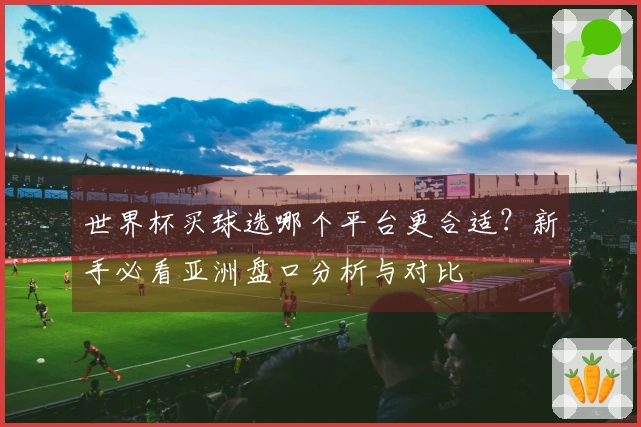 世界杯买球选哪个平台更合适？新手必看亚洲盘口分析与对比