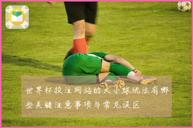 世界杯投注网站的大小球玩法有哪些关键注意事项与常见误区