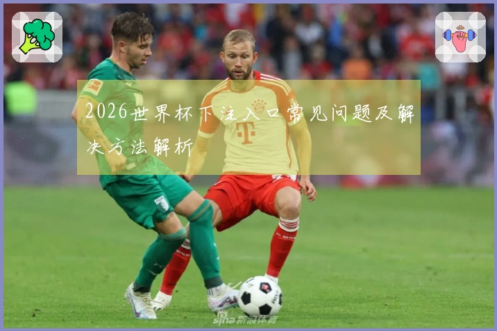 2026世界杯下注入口常见问题及解决方法解析
