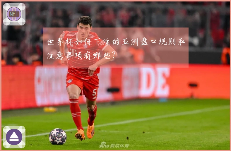 世界杯如何下注的亚洲盘口规则和注意事项有哪些？