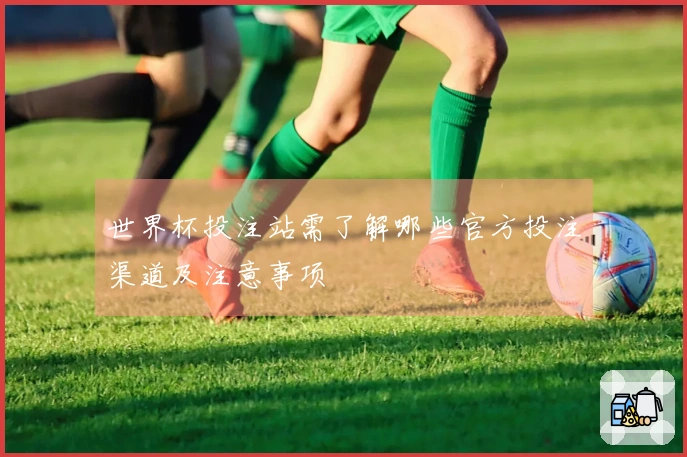 世界杯投注站需了解哪些官方投注渠道及注意事项