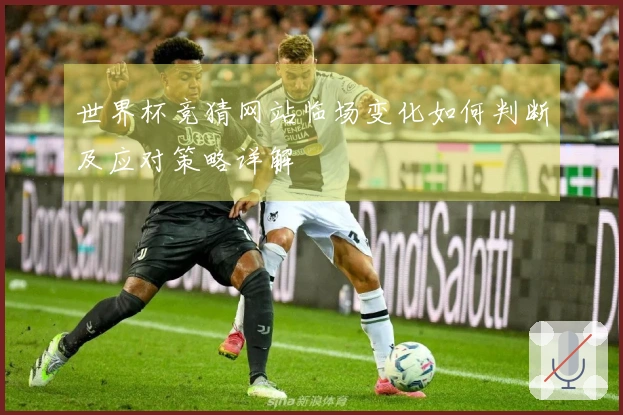 世界杯竞猜网站临场变化如何判断及应对策略详解