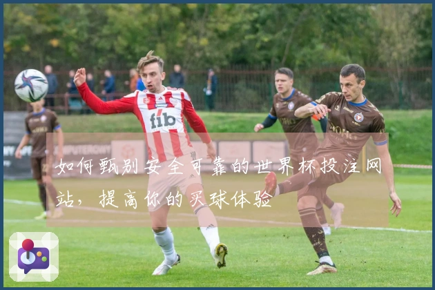 如何甄别安全可靠的世界杯投注网站，提高你的买球体验