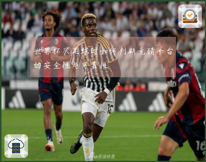 世界杯买足球时如何判断竞猜平台的安全性与可靠性