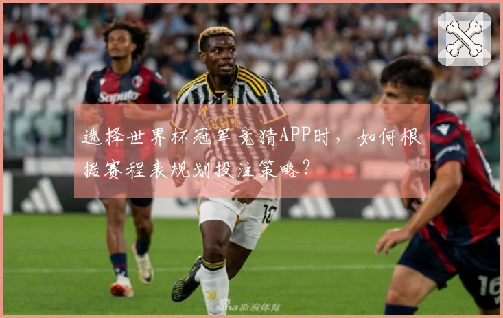 选择世界杯冠军竞猜APP时，如何根据赛程表规划投注策略？