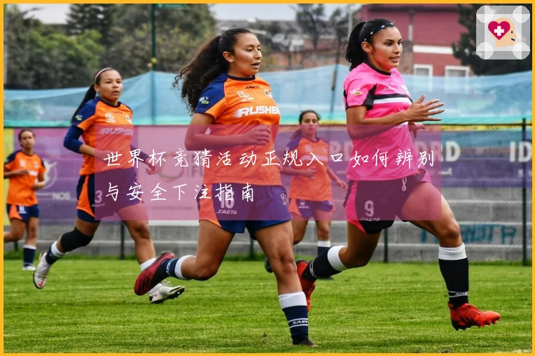 世界杯竞猜活动正规入口如何辨别与安全下注指南