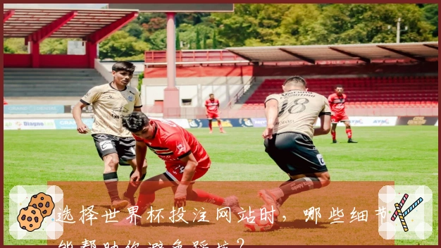 选择世界杯投注网站时，哪些细节能帮助你避免踩坑？