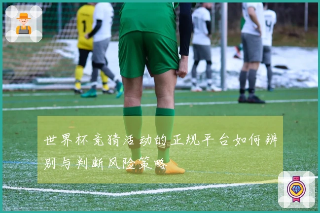 世界杯竞猜活动的正规平台如何辨别与判断风险策略