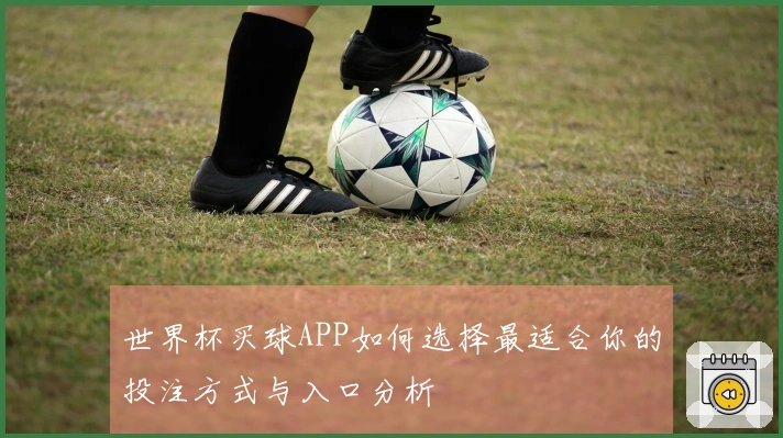 世界杯买球APP如何选择最适合你的投注方式与入口分析