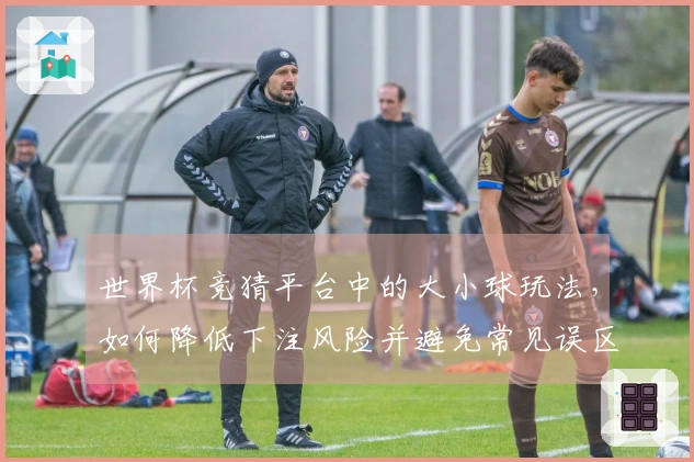世界杯竞猜平台中的大小球玩法，如何降低下注风险并避免常见误区？