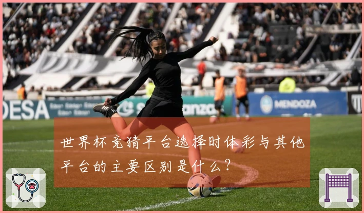 世界杯竞猜平台选择时体彩与其他平台的主要区别是什么？