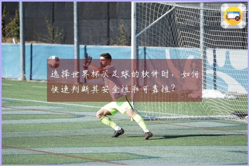 选择世界杯买足球的软件时，如何快速判断其安全性和可靠性？