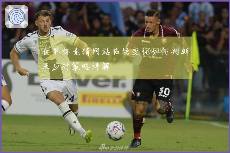 世界杯竞猜网站临场变化如何判断及应对策略详解