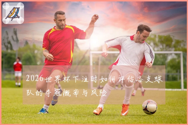 2026世界杯下注时如何评估各支球队的夺冠概率与风险
