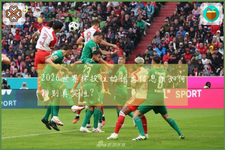 2026世界杯投注的优惠信息该如何辨别真实性？