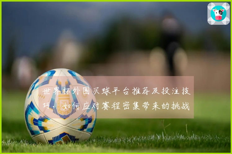 世界杯外围买球平台推荐及投注技巧，如何应对赛程密集带来的挑战