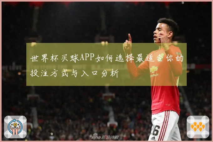 世界杯买球APP如何选择最适合你的投注方式与入口分析
