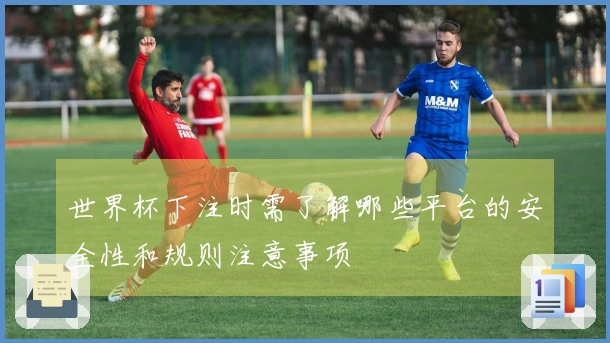 世界杯下注时需了解哪些平台的安全性和规则注意事项