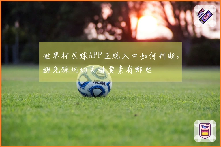 世界杯买球APP正规入口如何判断，避免踩坑的关键要素有哪些