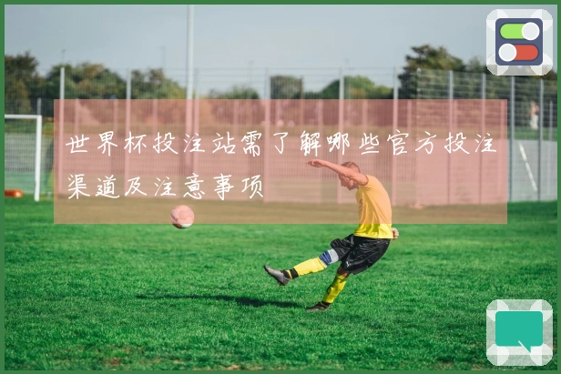 世界杯投注站需了解哪些官方投注渠道及注意事项