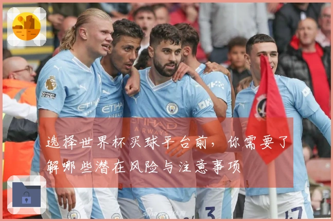 选择世界杯买球平台前，你需要了解哪些潜在风险与注意事项