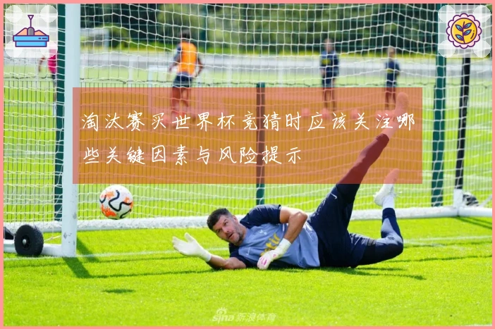 淘汰赛买世界杯竞猜时应该关注哪些关键因素与风险提示